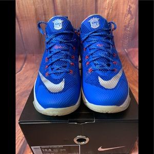 Nike Lebron XII Low LMTD